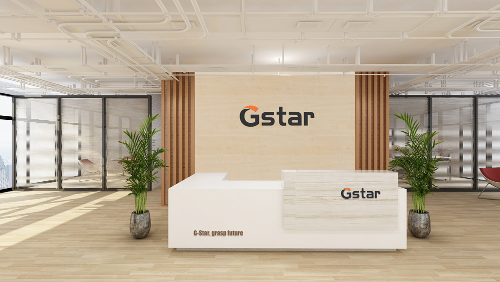 Establishment of Singapore Company — Gstar PTE.LTD.